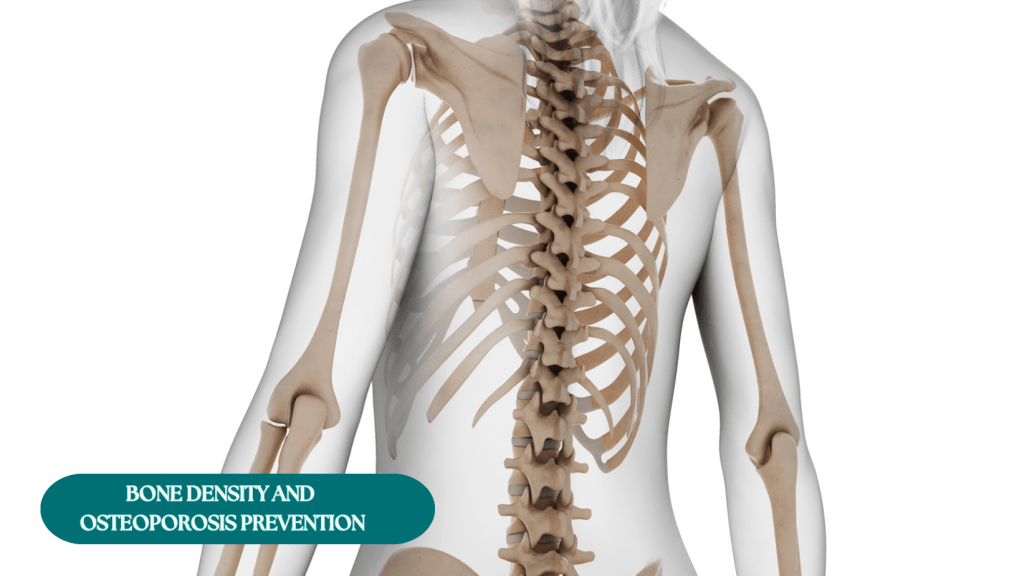 Comparison of bones before and after engaging in weight-bearing exercises, highlighting the improvement in bone mineral density