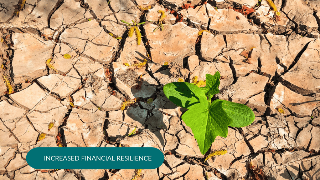 A resilient plant growing through cracks