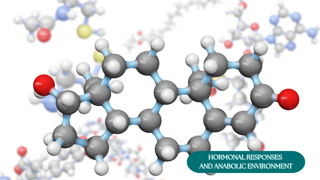 Icons representing the anabolic hormones testosterone and growth hormone, emphasizing their role in muscle protein synthesis