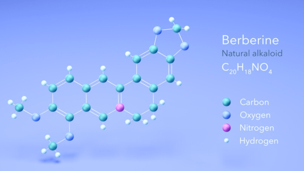 What is berberine?