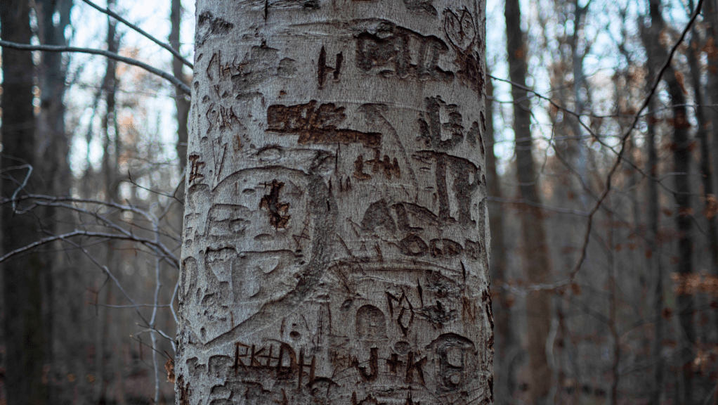 Ephemeral Nature of Life