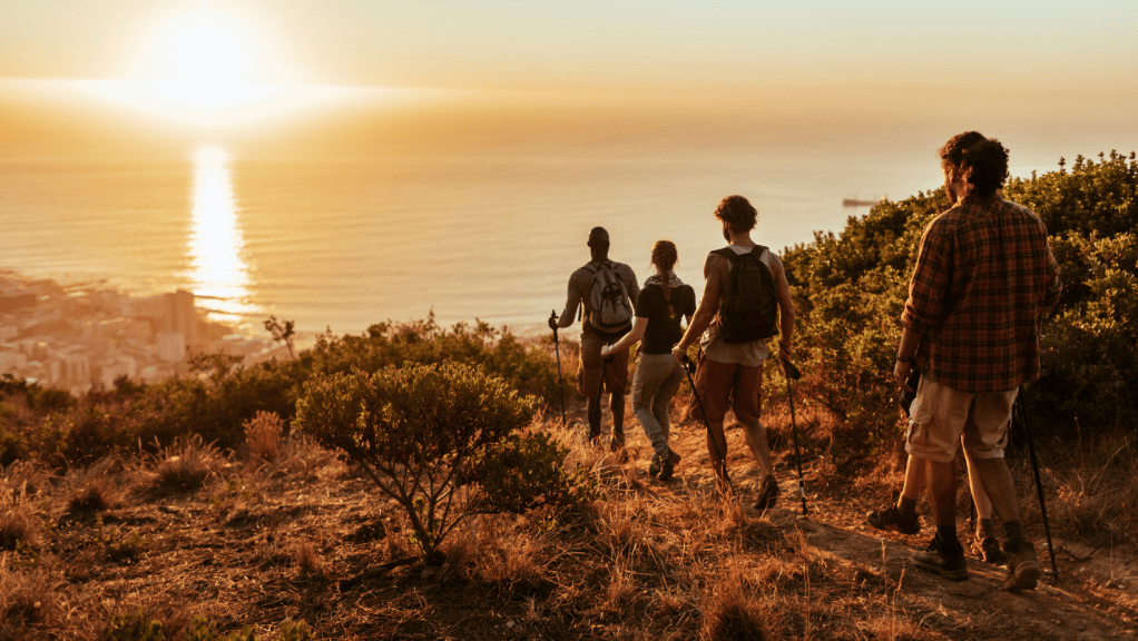 Physical Health and Wellness