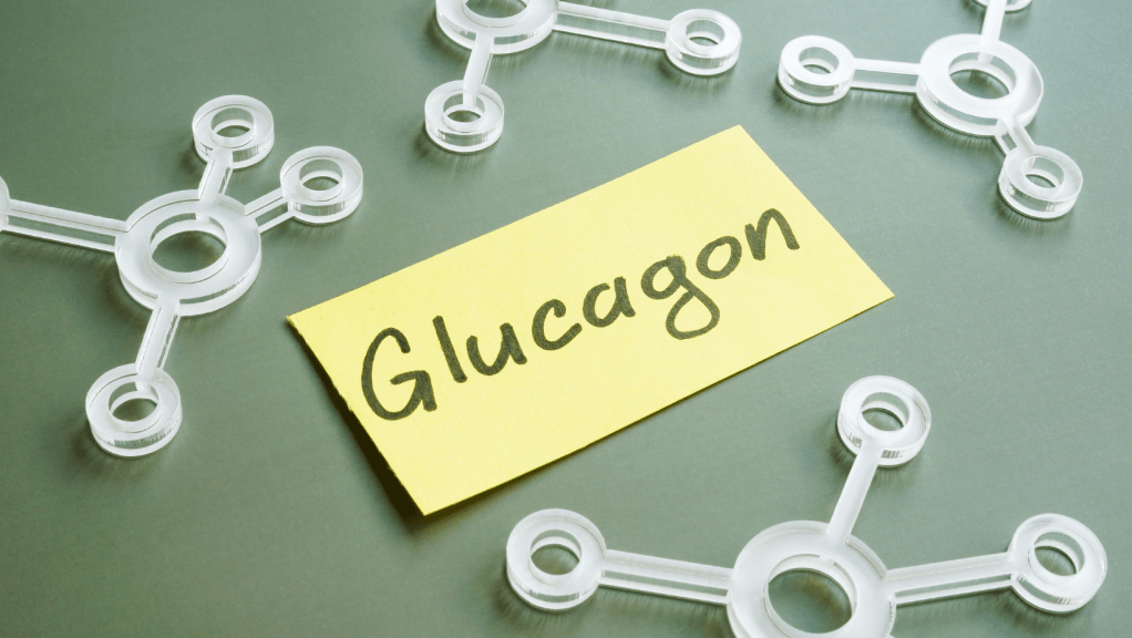 5. It Works With Other Hormones